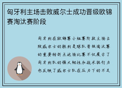 匈牙利主场击败威尔士成功晋级欧锦赛淘汰赛阶段