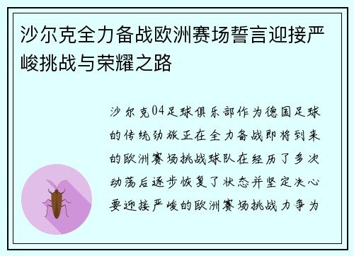 沙尔克全力备战欧洲赛场誓言迎接严峻挑战与荣耀之路